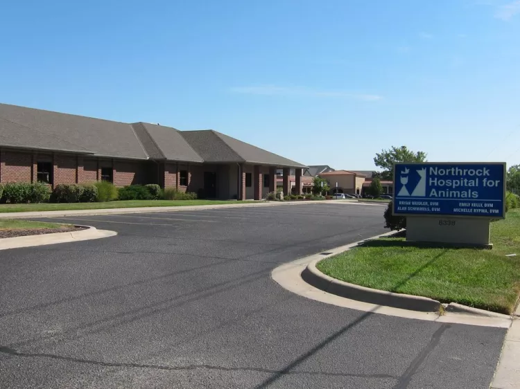 Northrock Hospital For Animals PA, Kansas, Wichita